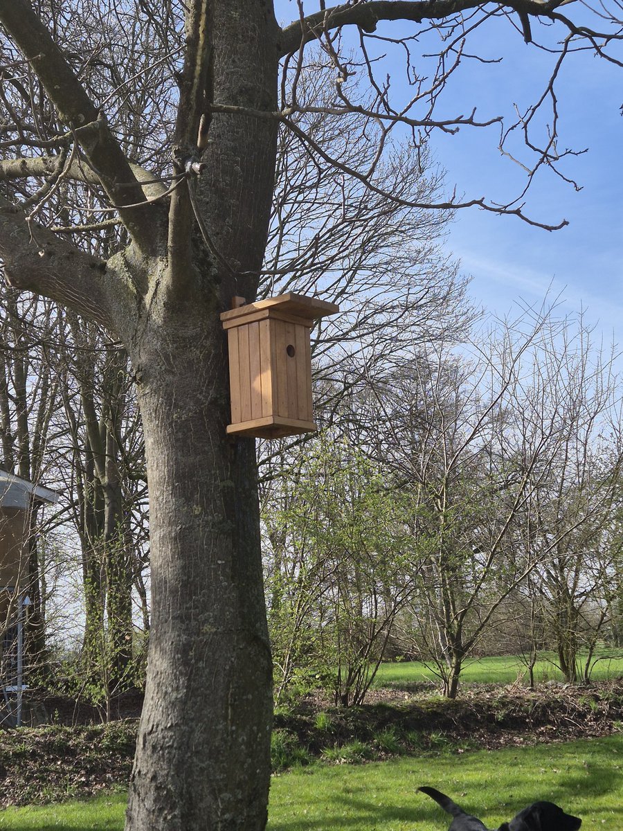 melkgeiten's tweet photo. Bouwen Bouwen Bouwen
Hier wordt een stad gebouwd voor de vogeltjes op ons erf. Vele #nestkastjes erweer bij geplaatst.
Er zijn weer vele #vogels bijgekomen die ook een onderkomen zochten!
#Natuurbeheer #biodiversiteit
#kijkjeopheterf #bouwen
#platteland https://t.co/fkqHHRx7NL