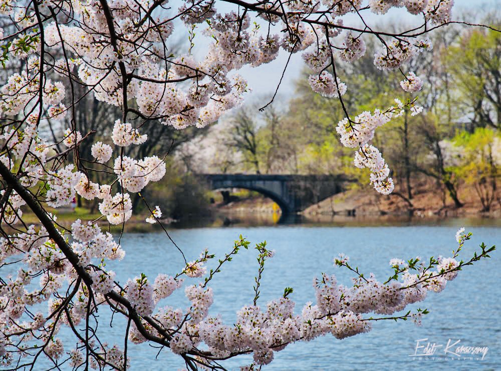 Edit Karacsony tweet media