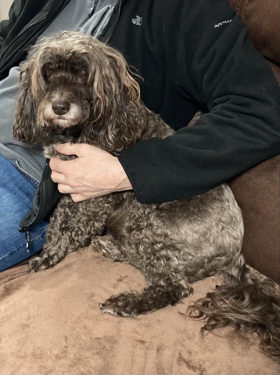 Hazel Lambert 💙 tweet media