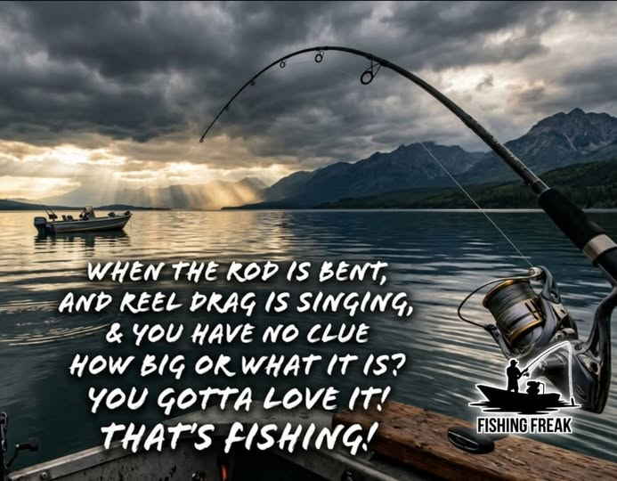 JB Slear tweet media