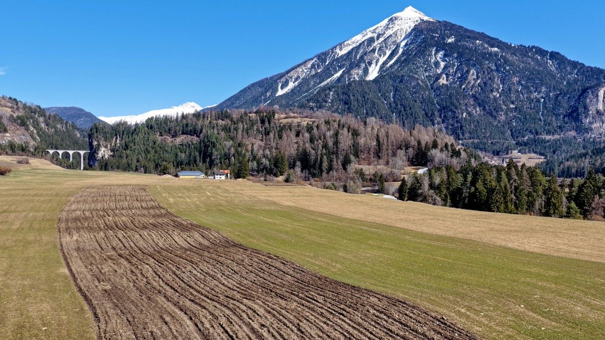 Thomas Kollegger tweet media