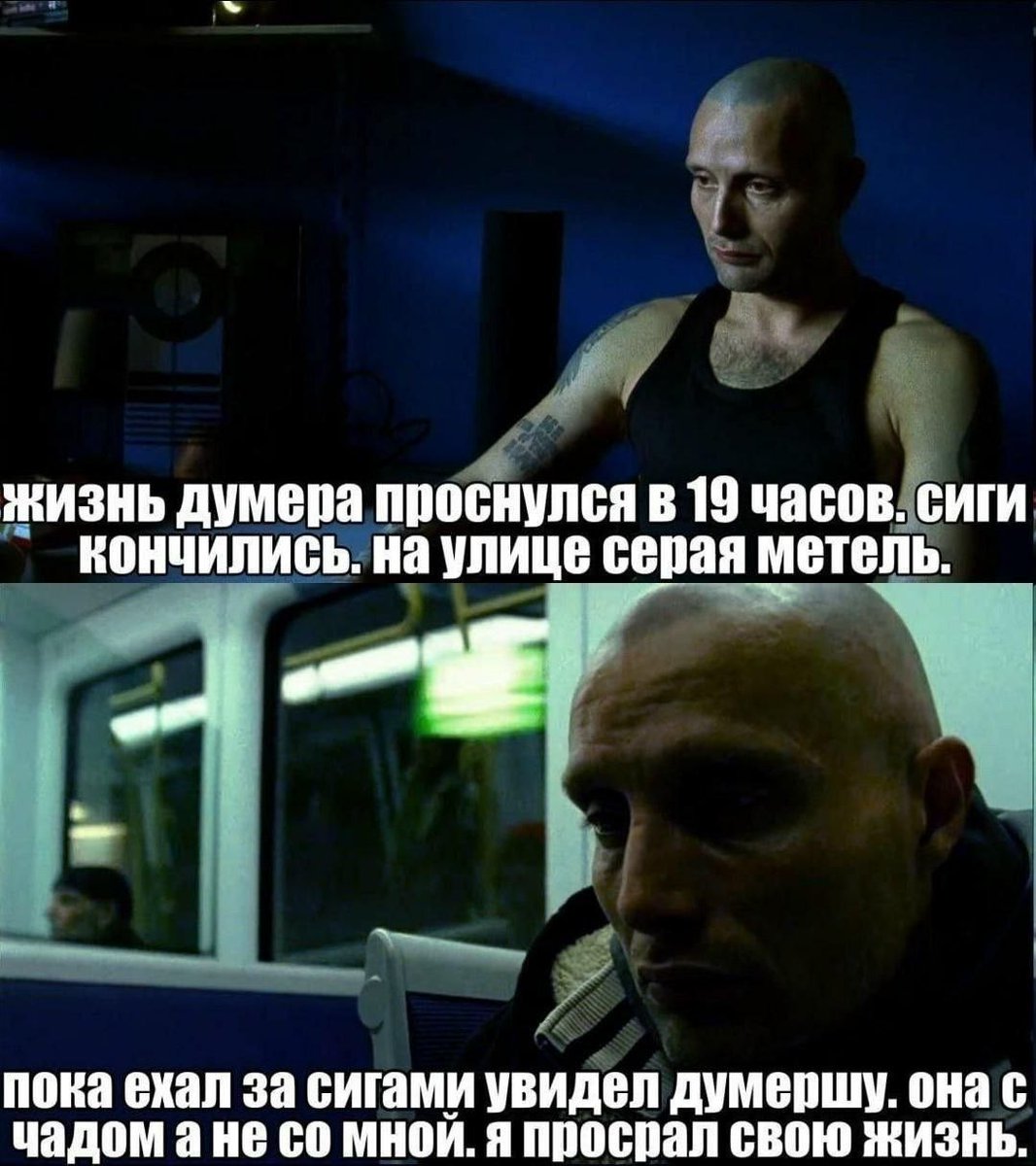 Селевк tweet media