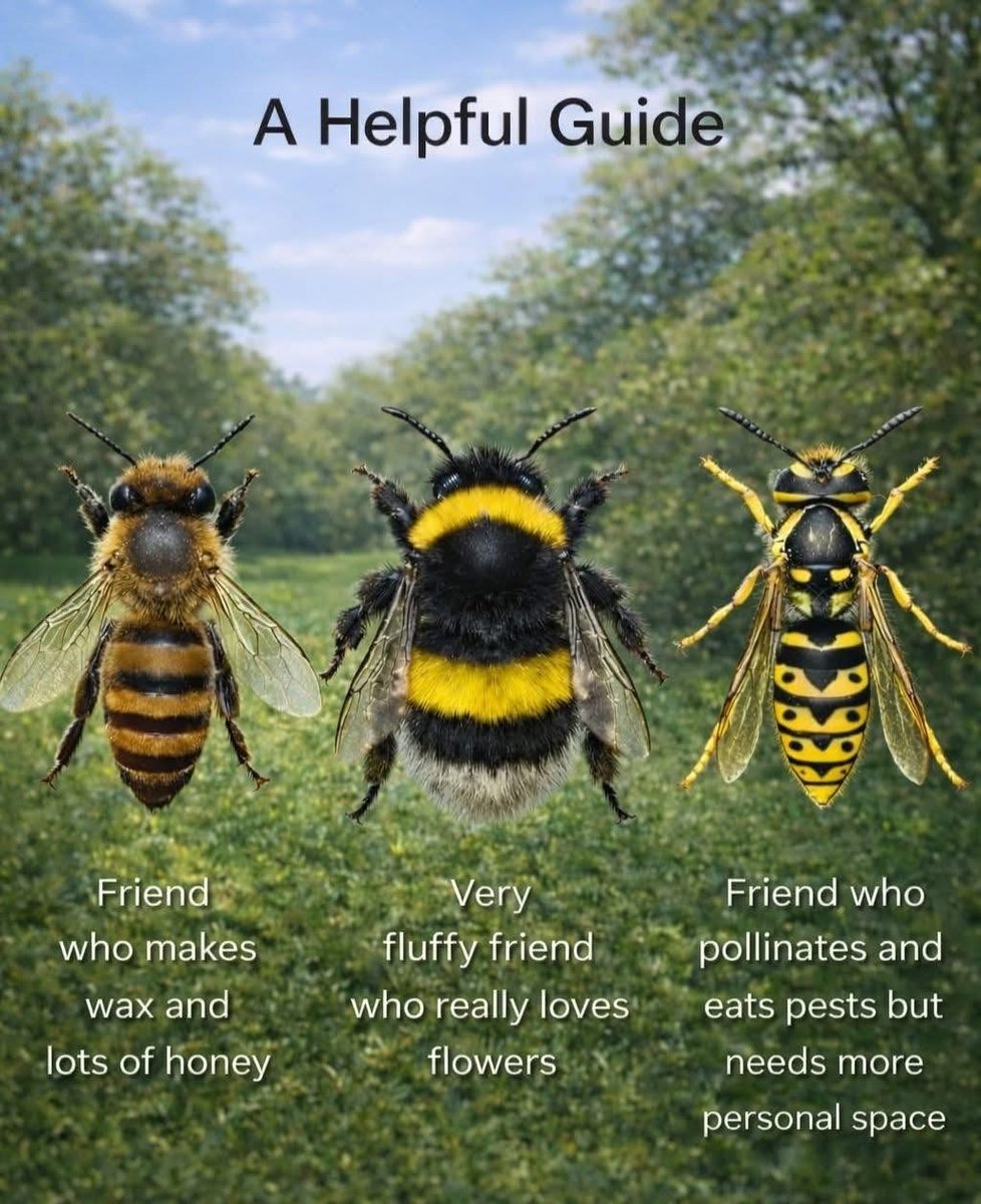 Skip Zalneraitis tweet media