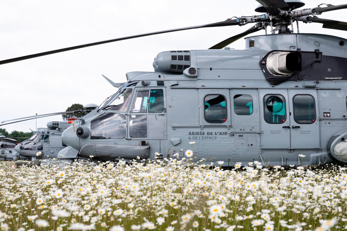 Armee_de_lair's tweet image. Le printemps est là.

La nature reprend ses couleurs…
Dans le ciel comme sur le terrain, nos Aviateurs sont aux premières loges.  ✈️
#Printemps