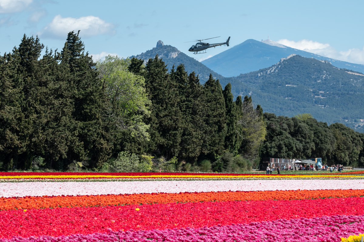 Armee_de_lair's tweet image. Le printemps est là.

La nature reprend ses couleurs…
Dans le ciel comme sur le terrain, nos Aviateurs sont aux premières loges.  ✈️
#Printemps