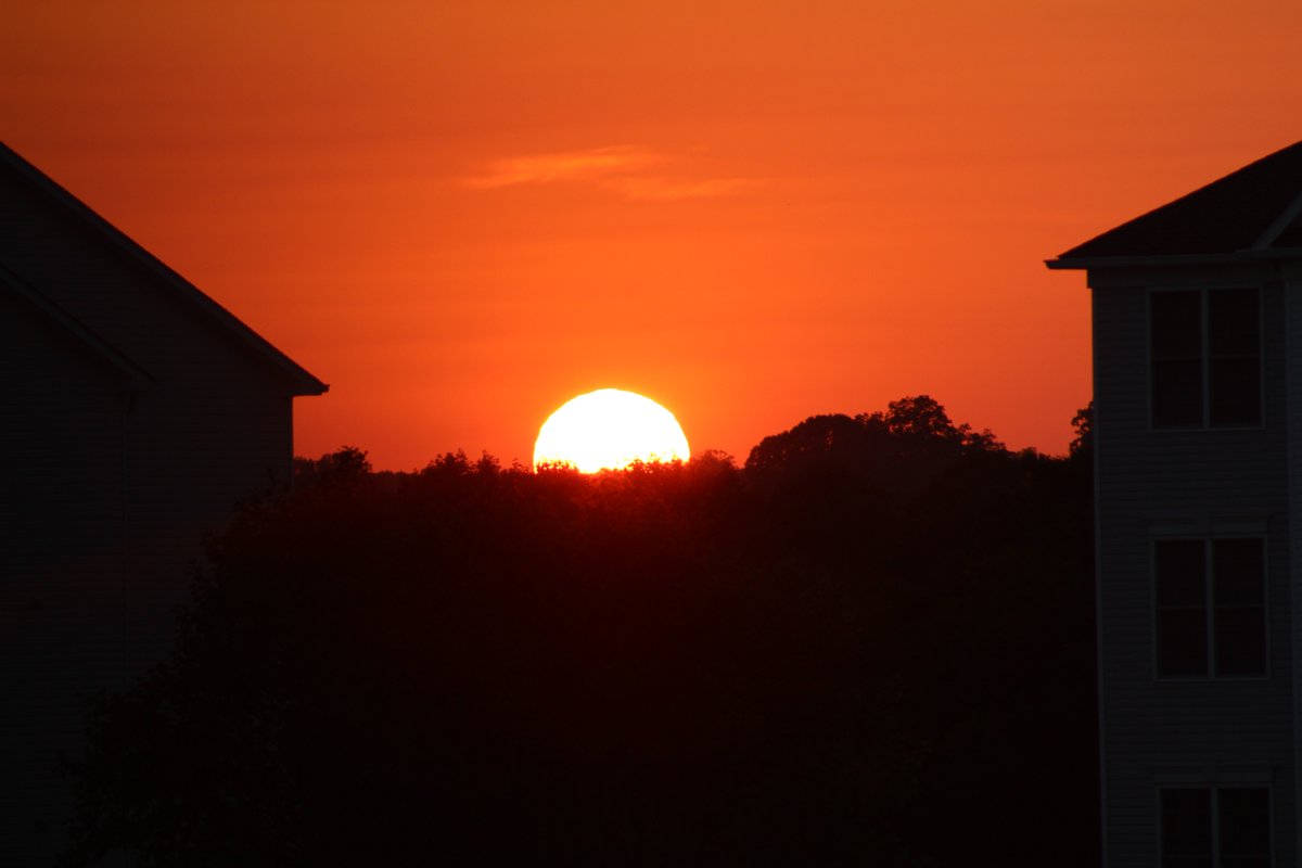 Tony Pann tweet media