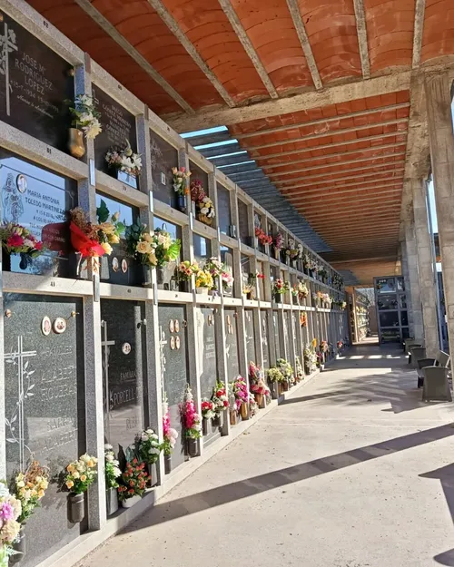 Ajuntament de Salt tweet media