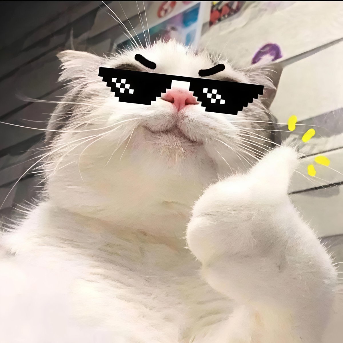 MrTwilight tweet media