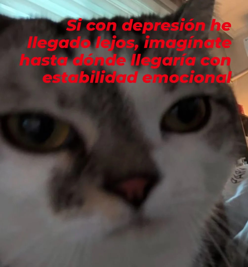 Mundo de Bigotes tweet media