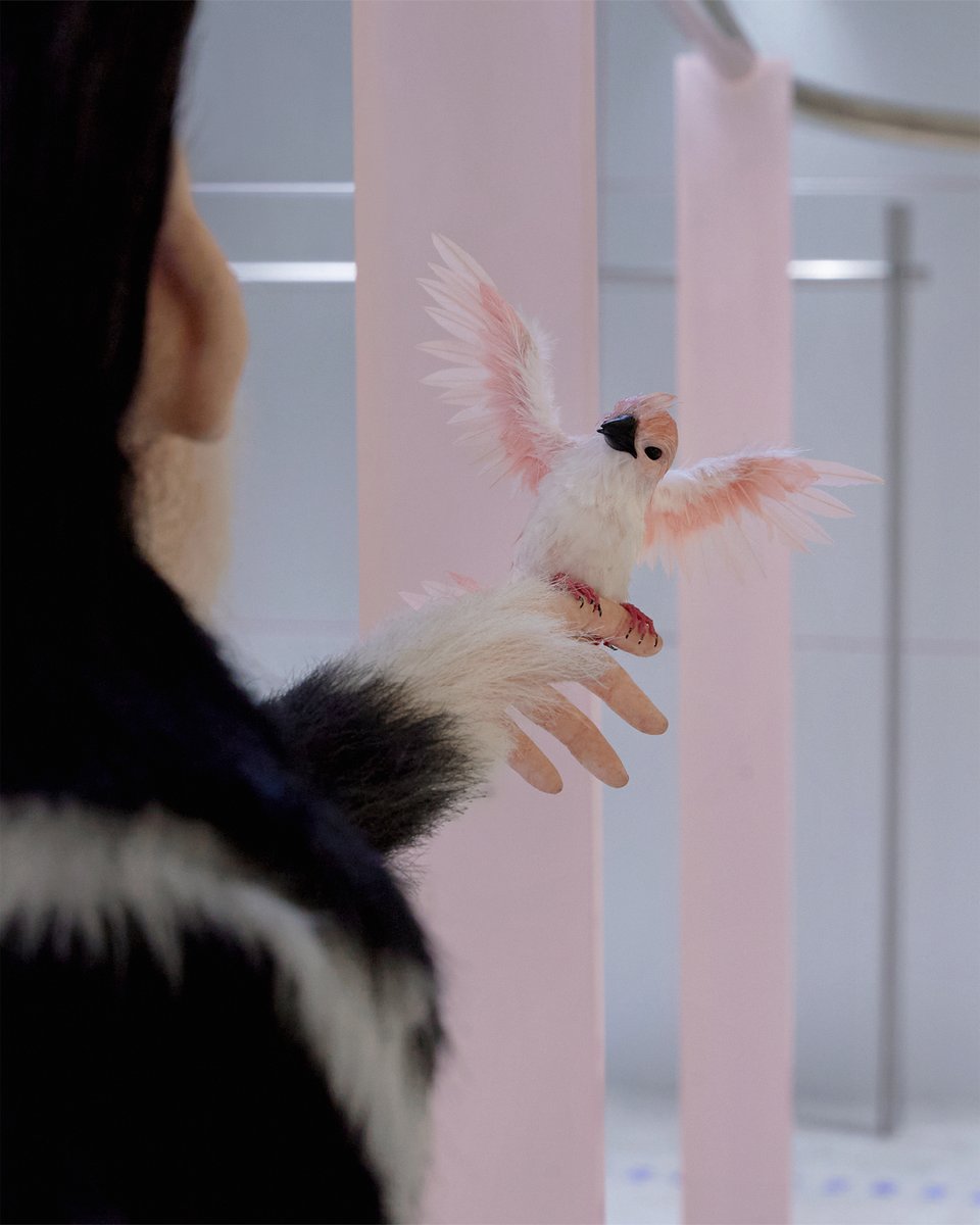 _adererror's tweet image. NEW STORE: ADERERROR Plug Shop Galleria WEST

원숭이와 새를 형상화한 하이퍼리얼리즘 오브제가 전하는 아더에러의 위트.

아더에러의 새로운 공간 내러티브를 갤러리아 명품관 WEST에서 만나보세요.

#ADERERROR #아더에러