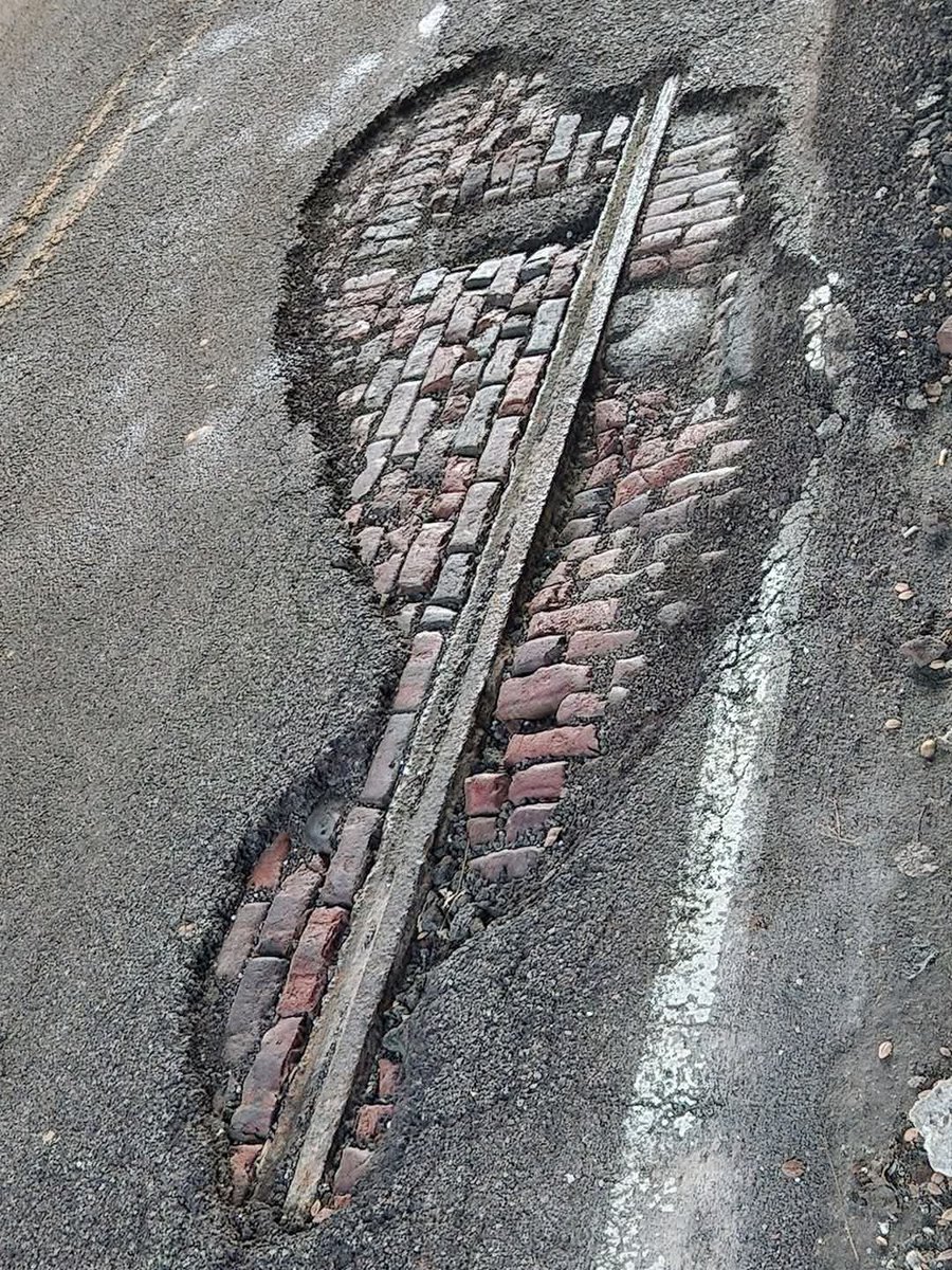 Smarkreilly🚶♂️🚴♂️🚍🚉🌴 tweet media