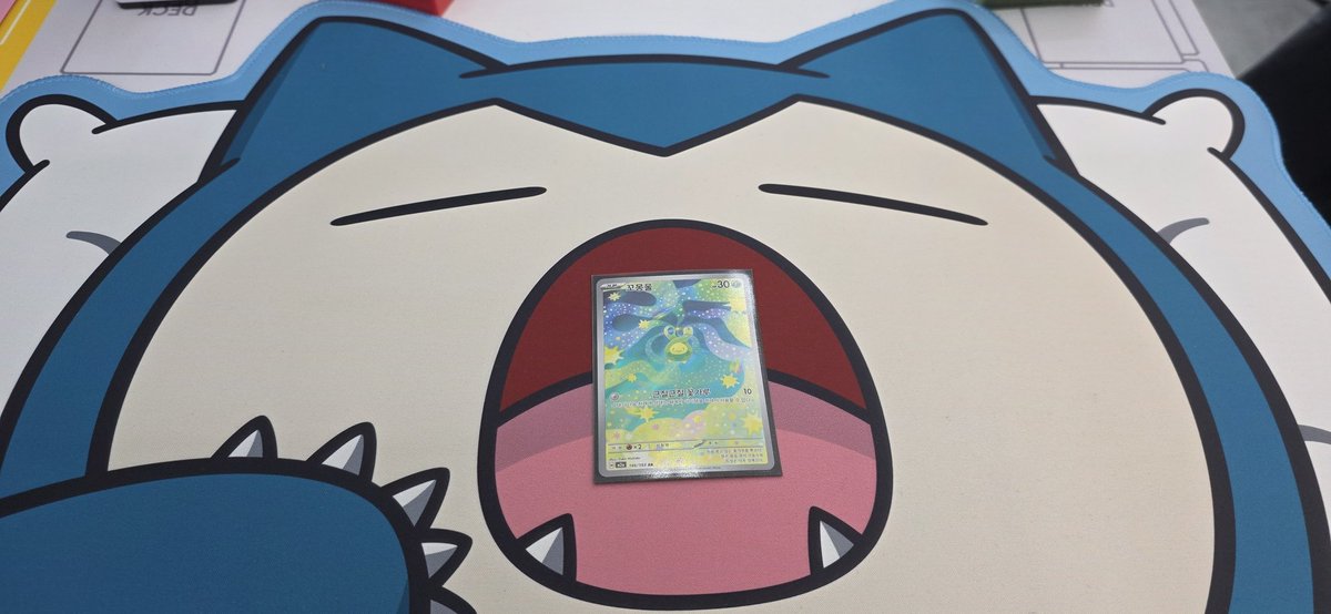 메요 대회기록 tweet media