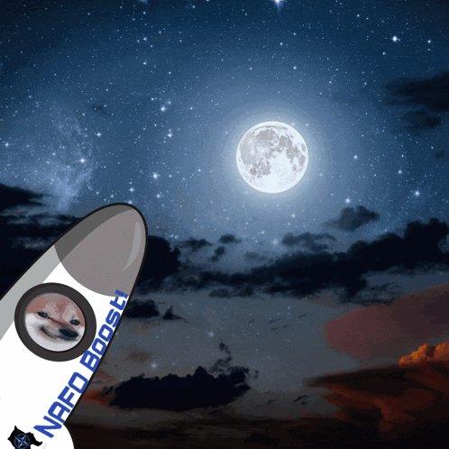 agnieszka reichenbac tweet media