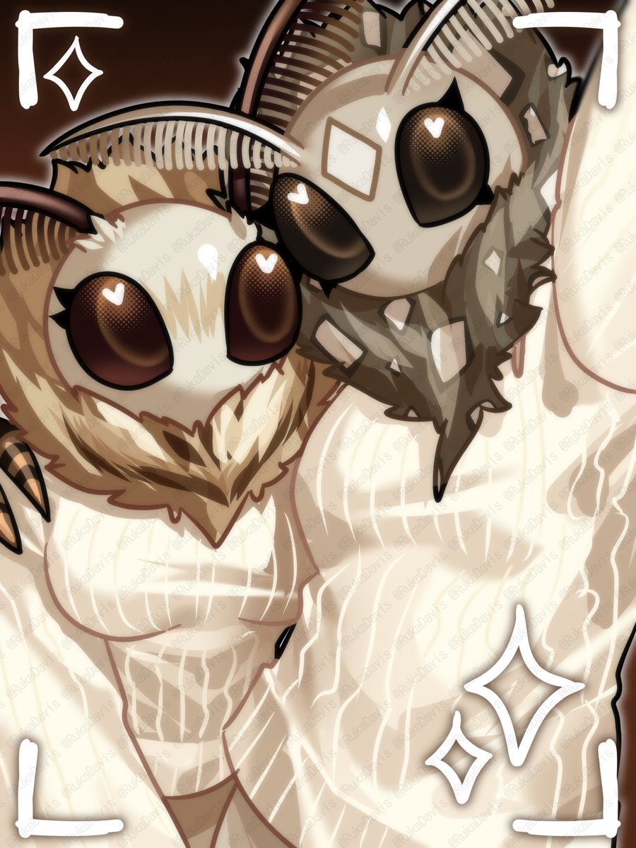 るか/Ruka tweet media