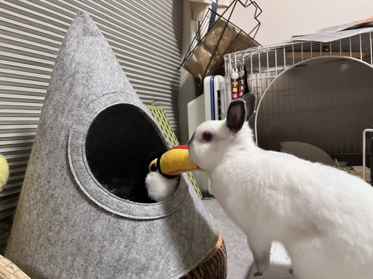 ๐ ้ฆใกใใ ๐ tweet media