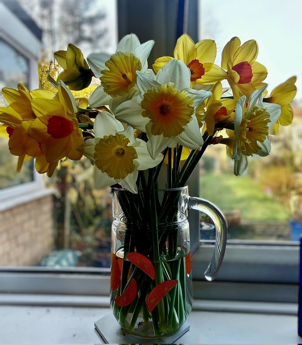 🌼🍋Helencello🍋🌼 tweet media