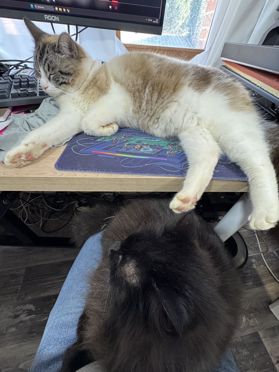 Max Lander / papa chat😺 💸 tweet media