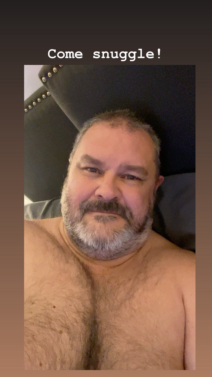 Chubby Dad Bear tweet media