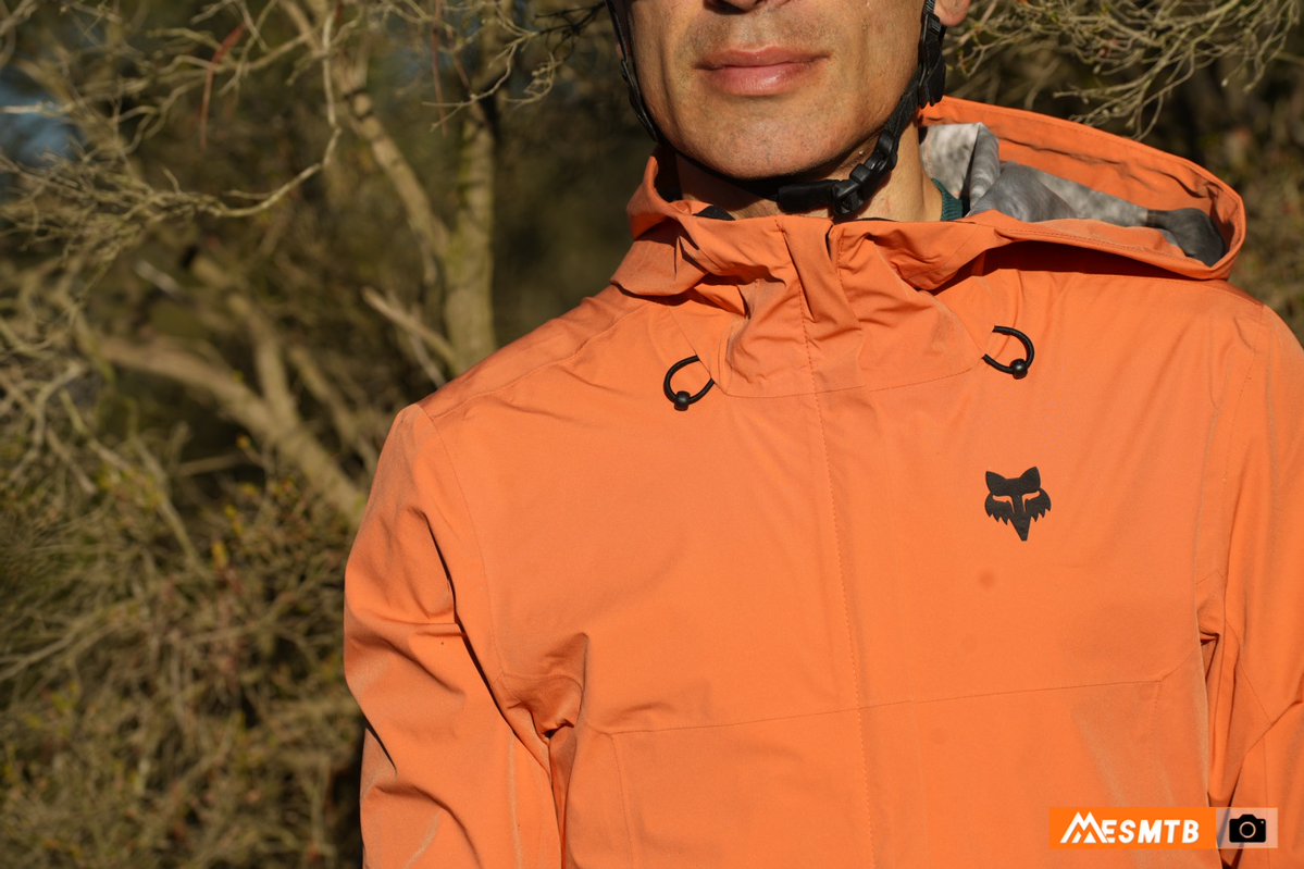 ESMTB.com tweet media