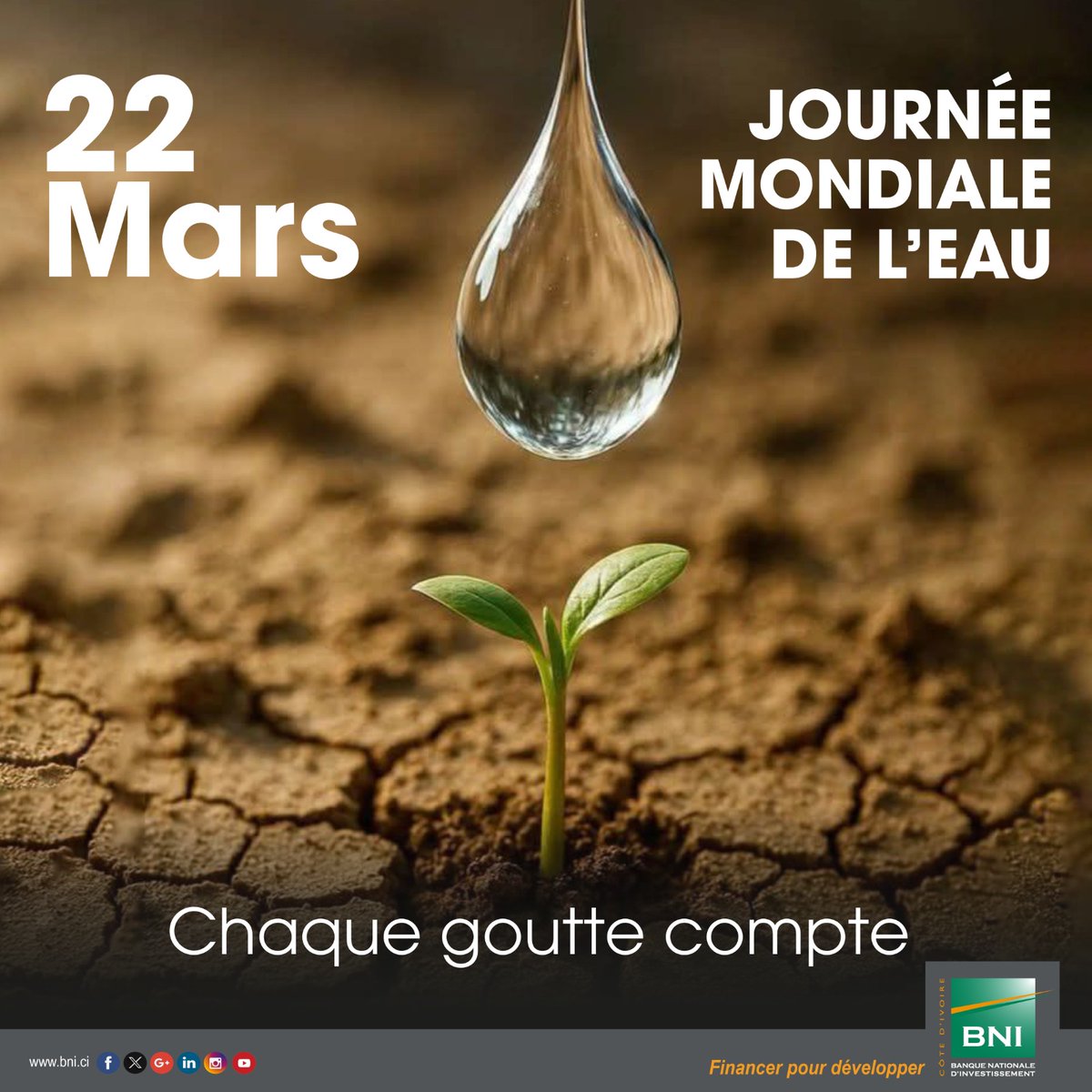 BNI Côte d'Ivoire tweet media