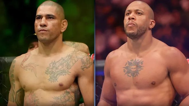 Blind Bear 🐻🕶️ tweet media