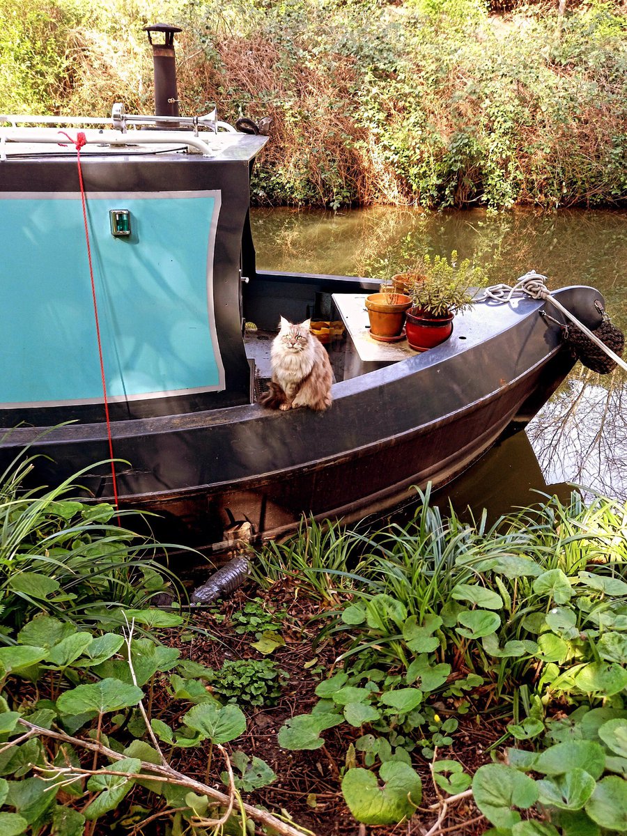 Nick Setchfield tweet media