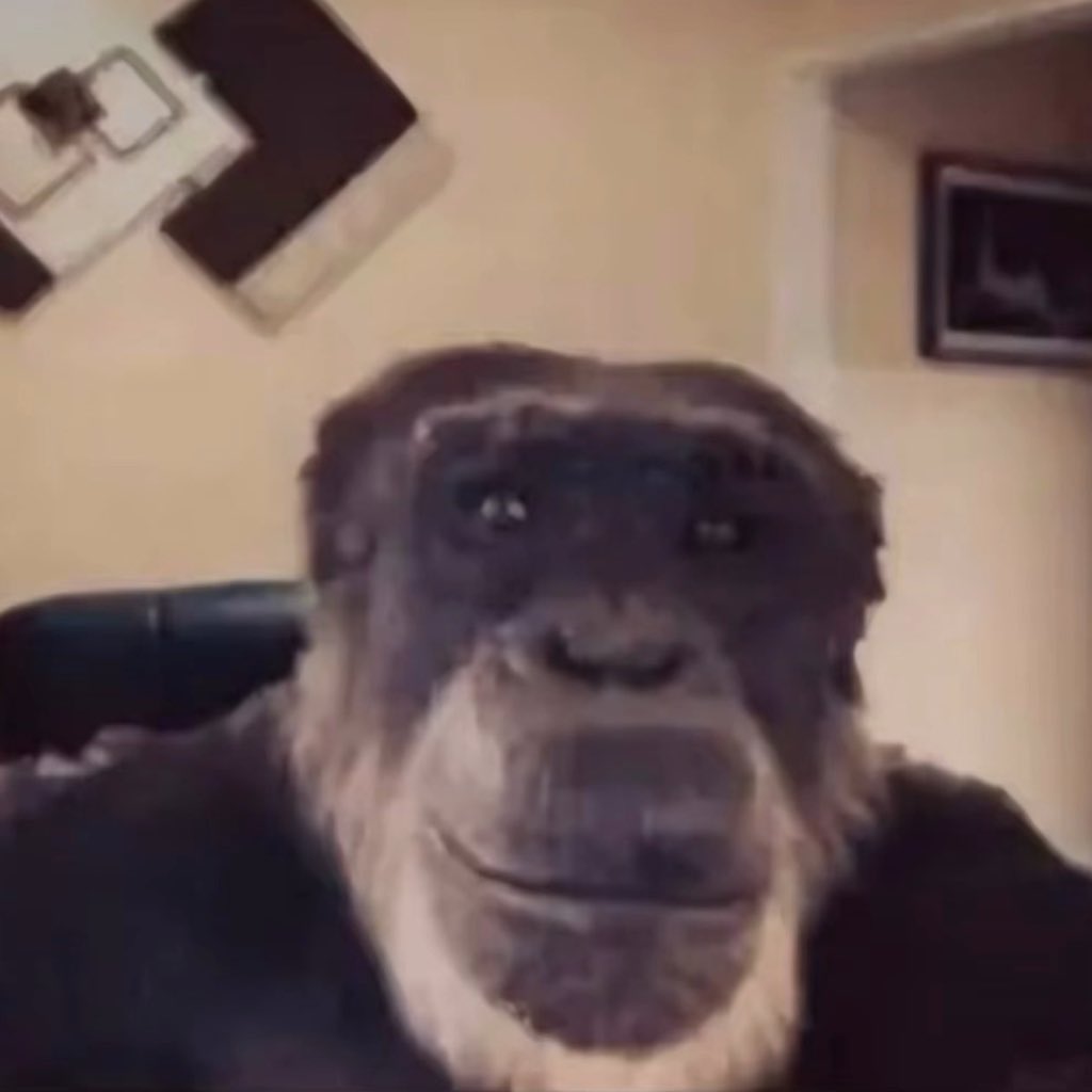 Team_BVB07 | 𝓝𝓶𝓮𝓬𝓱𝓪_𝓢𝓩𝓝 tweet media