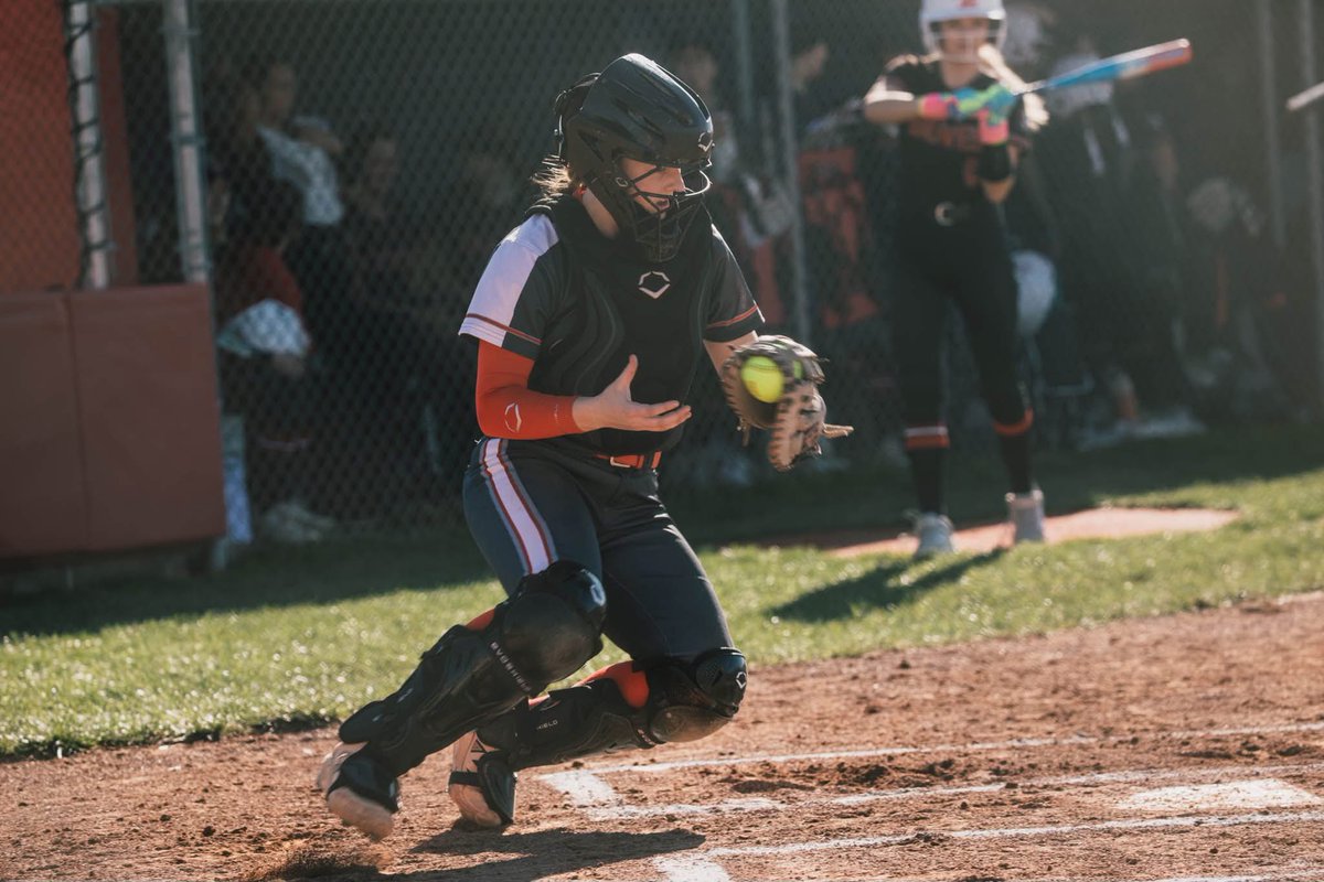 Darlene Hall tweet media