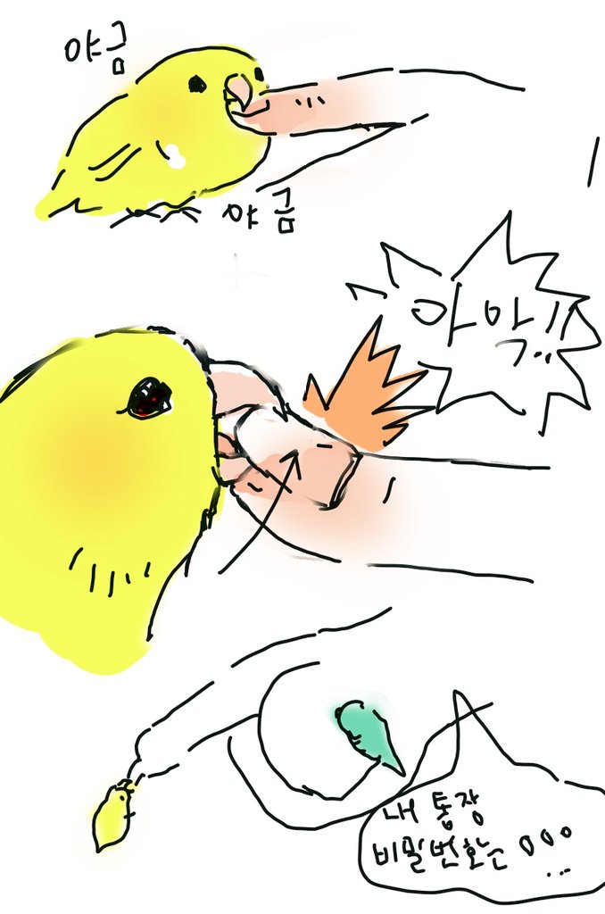 늘듬직티티뾰뾰 tweet media