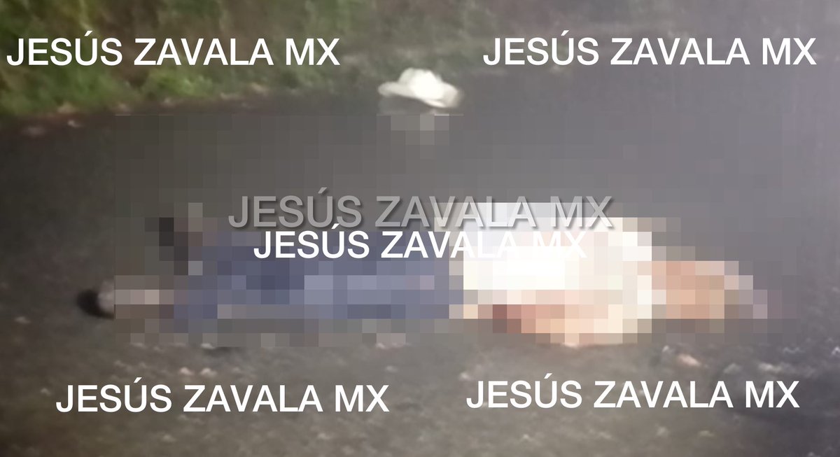 Jesús Zavala tweet media