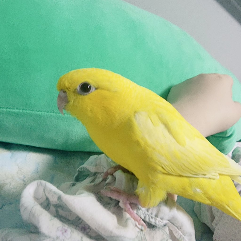 늘듬직티티뾰뾰 tweet media