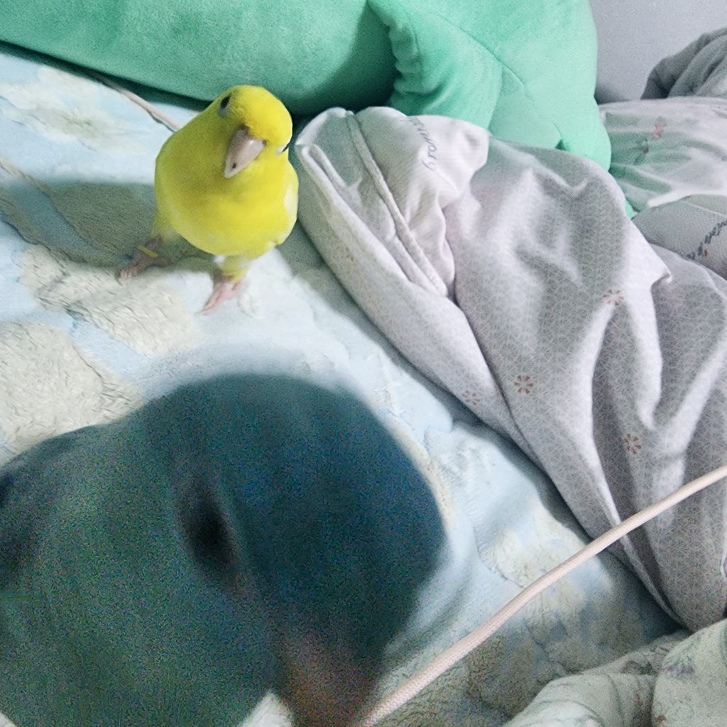 늘듬직티티뾰뾰 tweet media