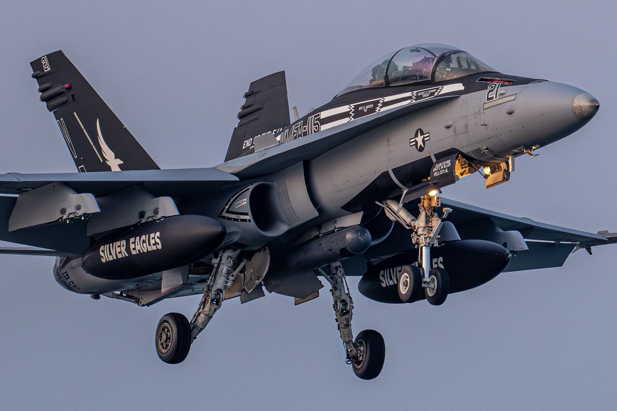 カリス（は湯たんぽ使用中？） tweet media