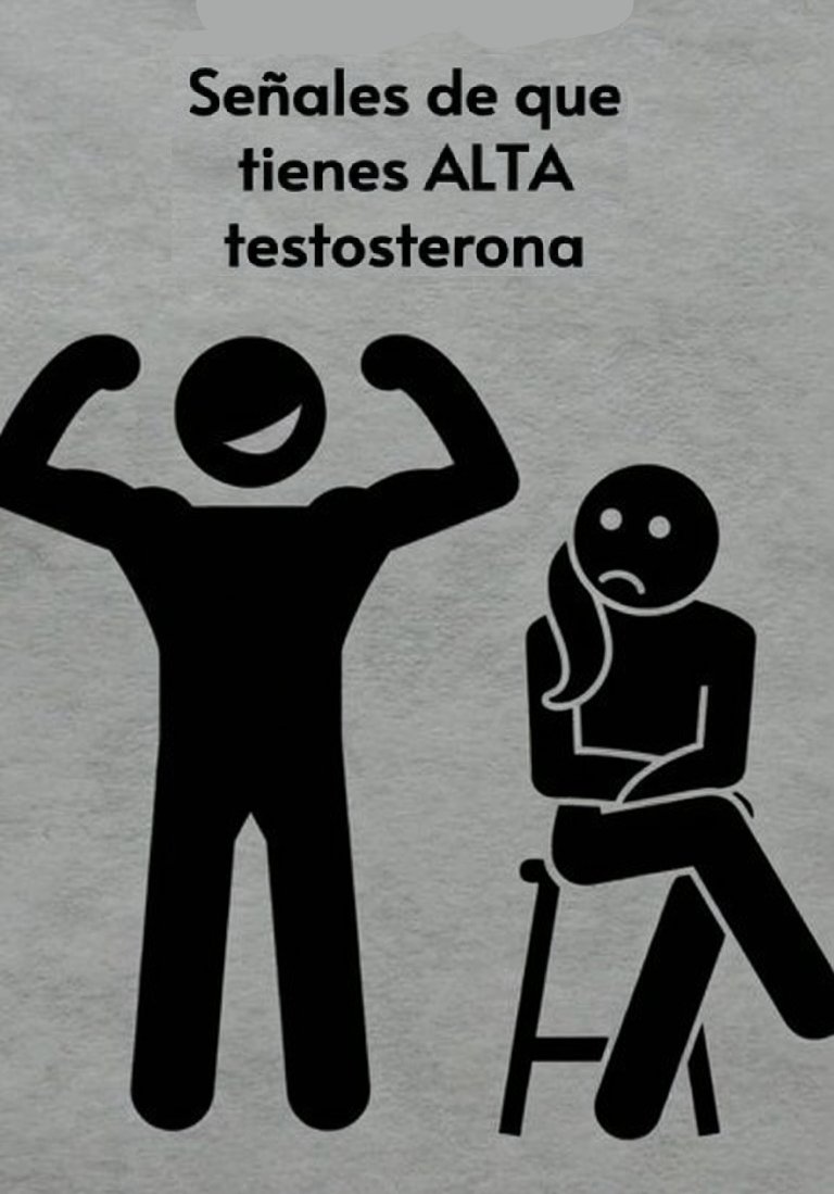 Navegante tweet media