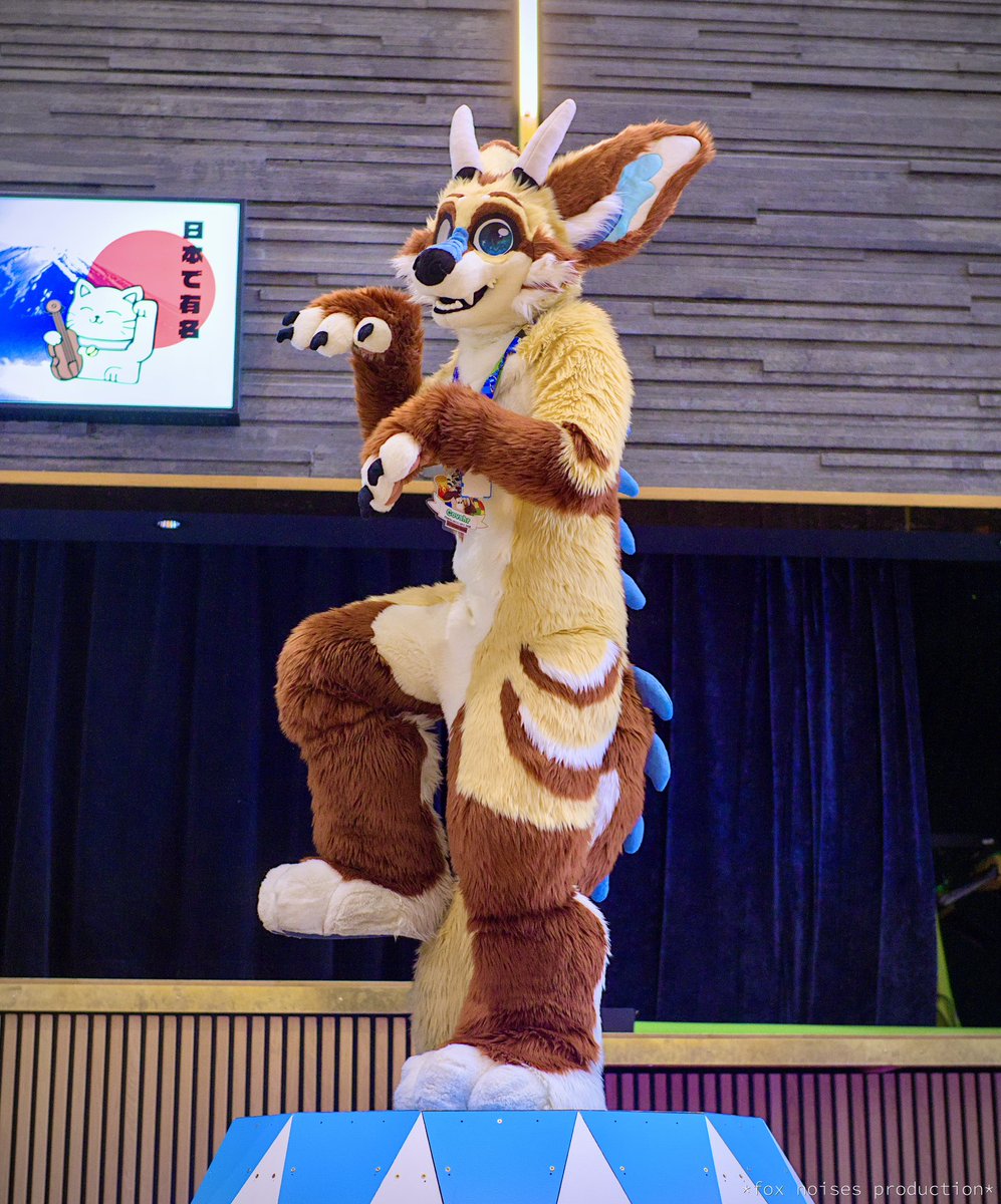 CoVahr 🦊🐉🎹 tweet media