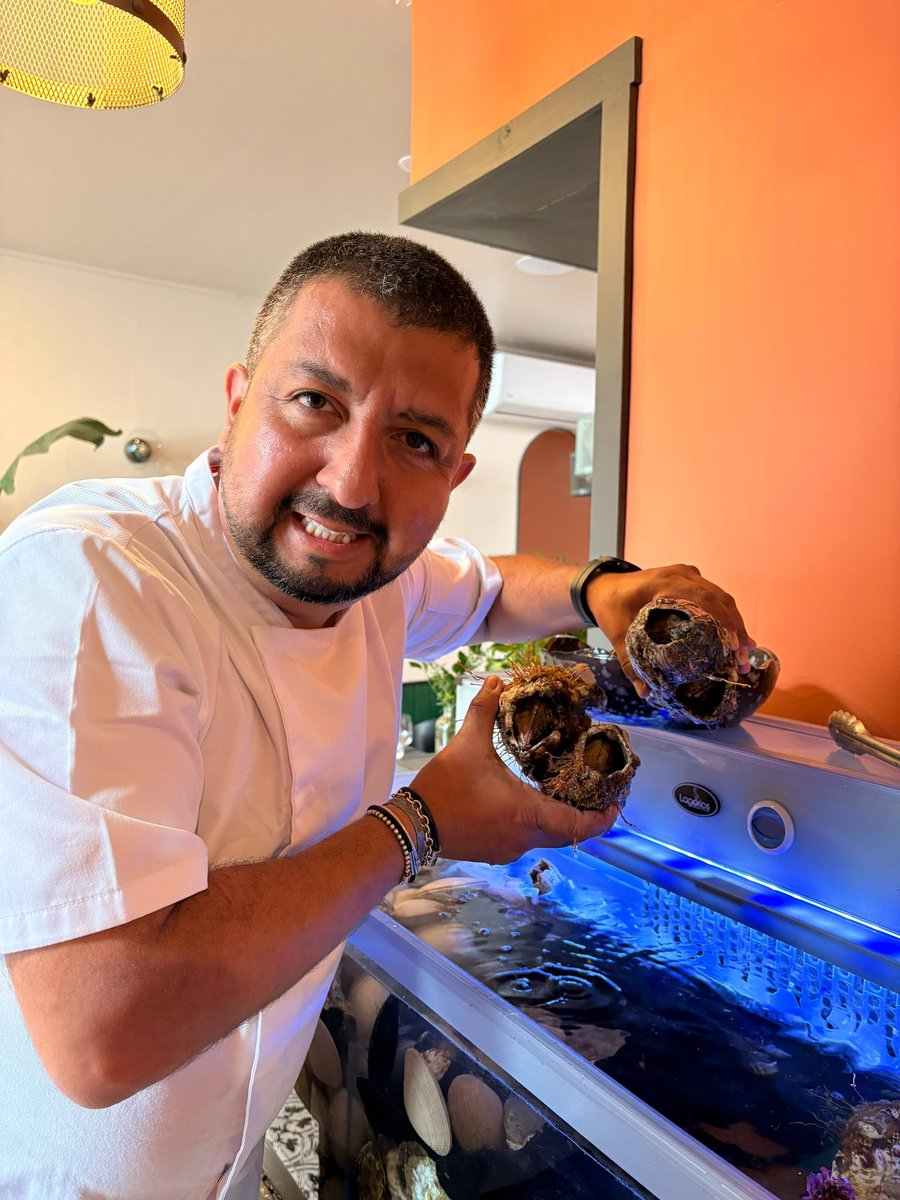 Revista Canal Horeca tweet media