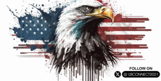 USConnect tweet media