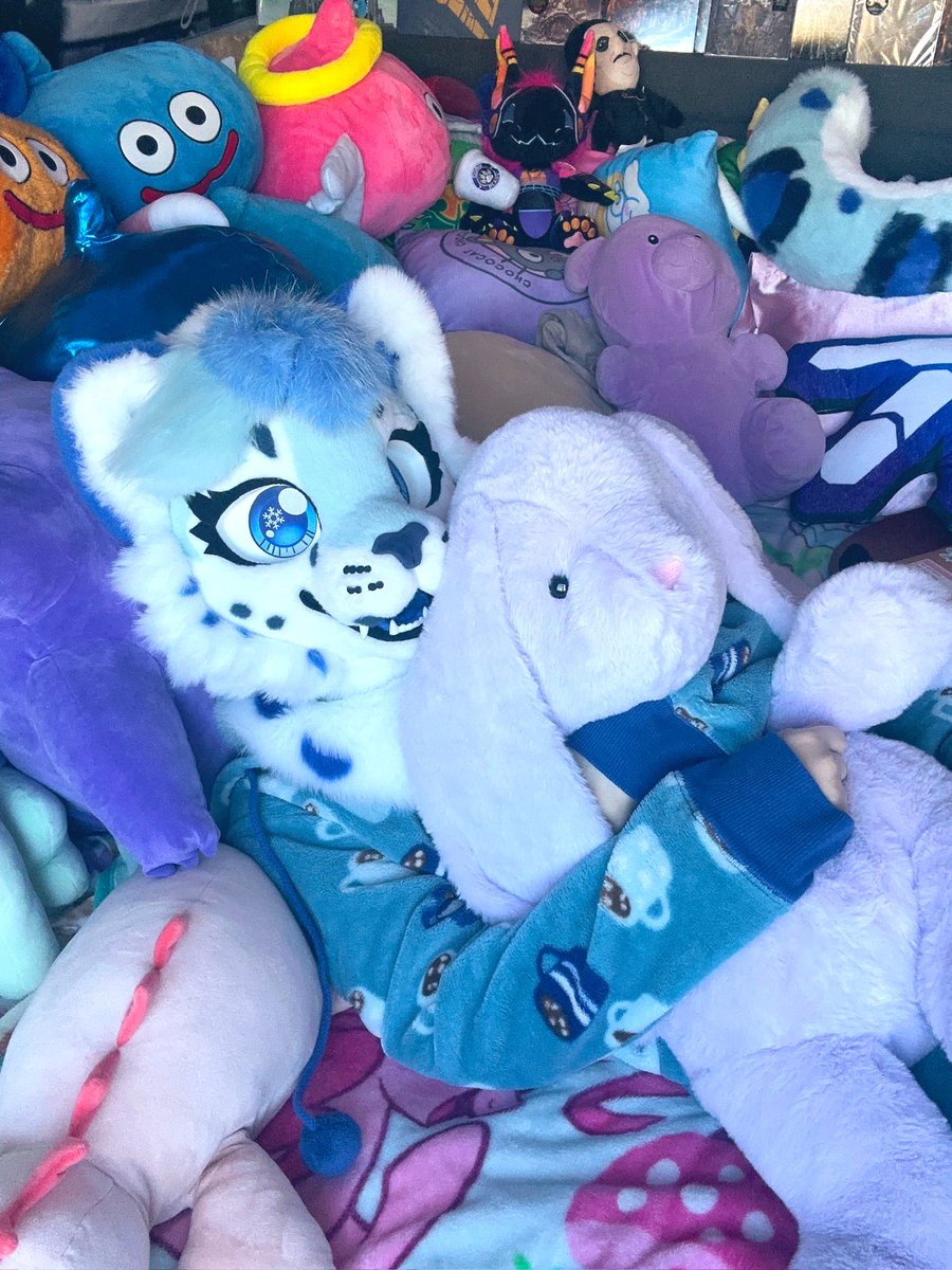 ❄️Snowberry Frost🫐🧊 tweet media