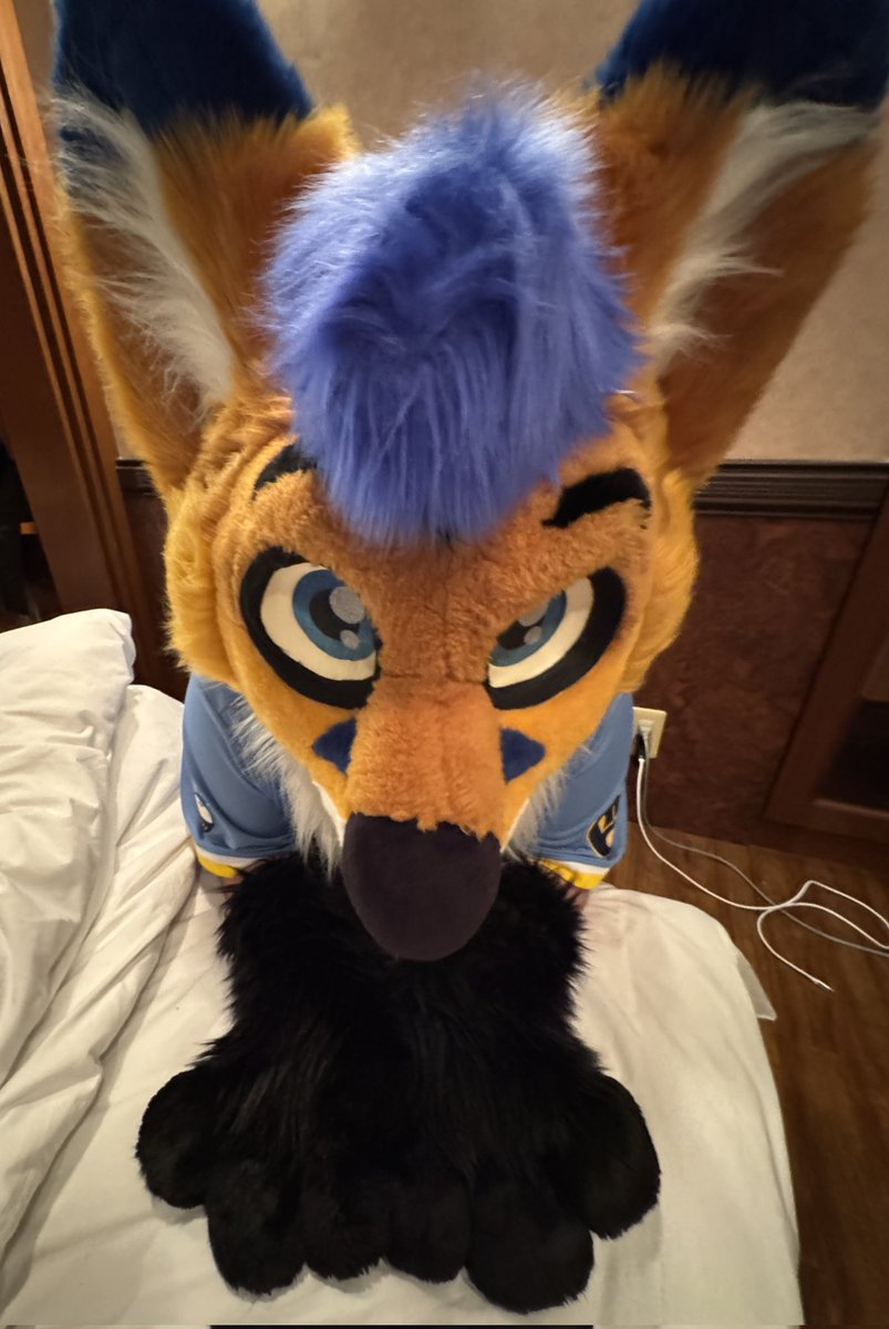 AeroFox🦊🔜@TFF tweet media