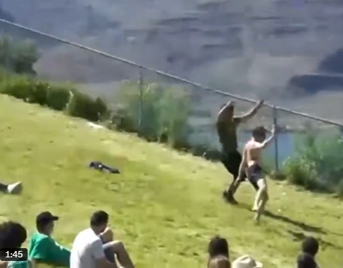 M.O.D.A.F.O.K.A tweet media