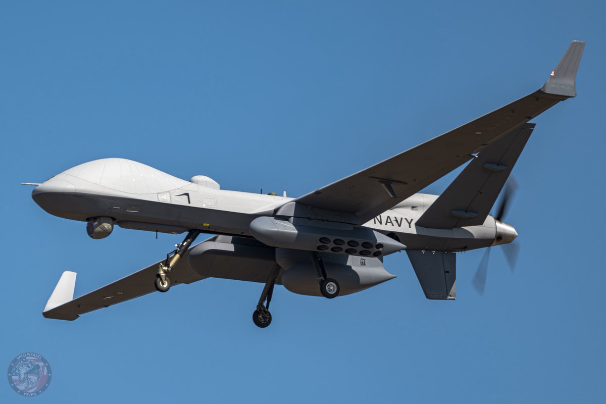 Wild Weasel tweet media