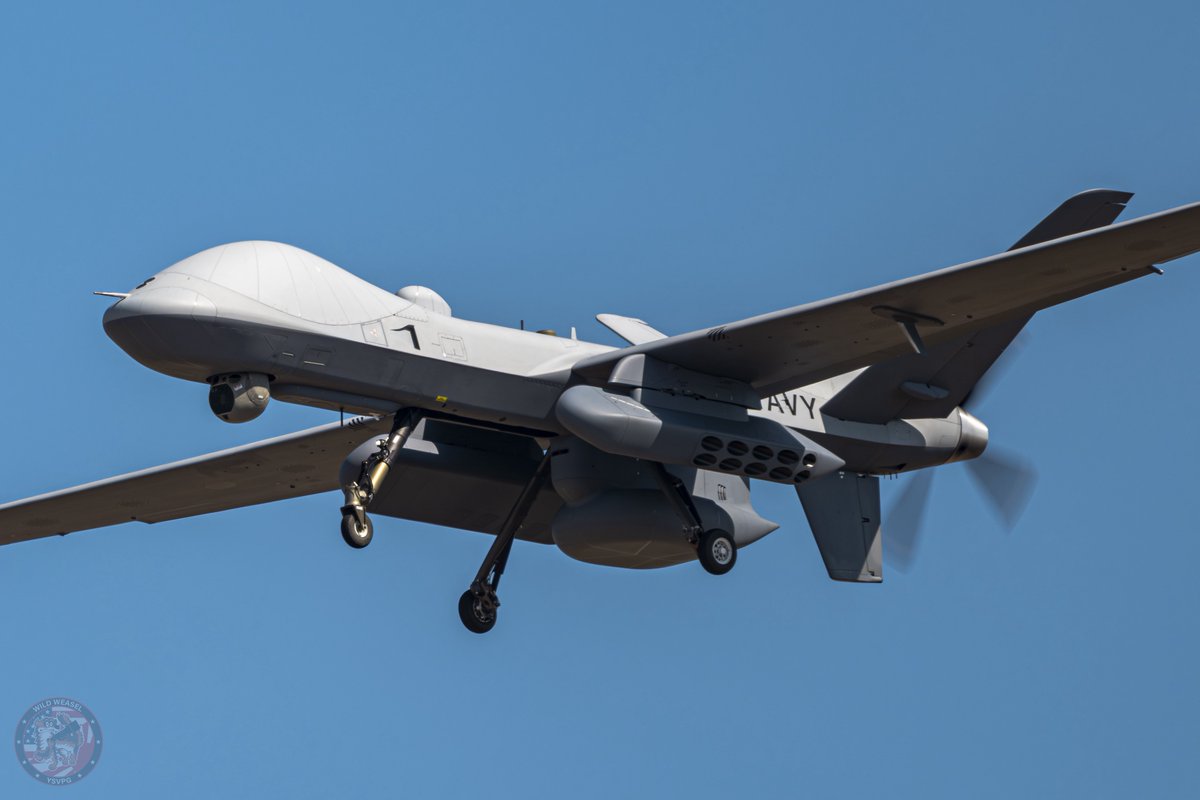 Wild Weasel tweet media