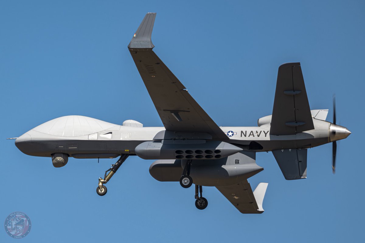 Wild Weasel tweet media