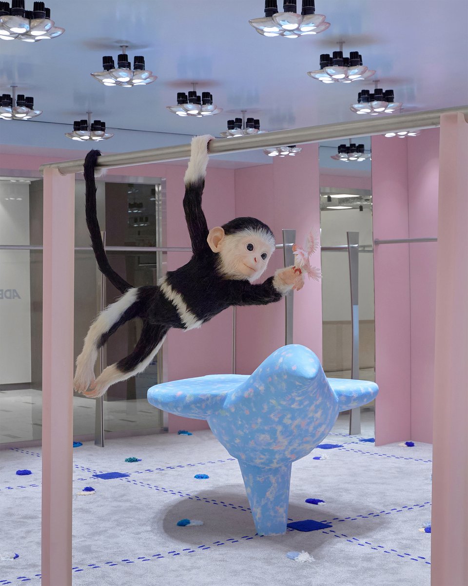 _adererror's tweet image. NEW STORE: ADERERROR Plug Shop Galleria WEST

원숭이와 새를 형상화한 하이퍼리얼리즘 오브제가 전하는 아더에러의 위트.

아더에러의 새로운 공간 내러티브를 갤러리아 명품관 WEST에서 만나보세요.

#ADERERROR #아더에러