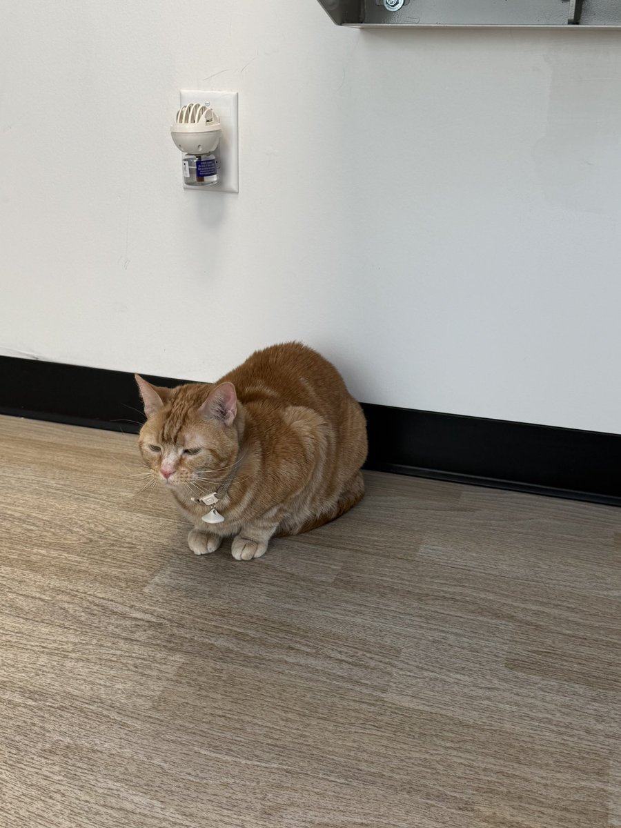 ruby ˚✿˖ tweet media