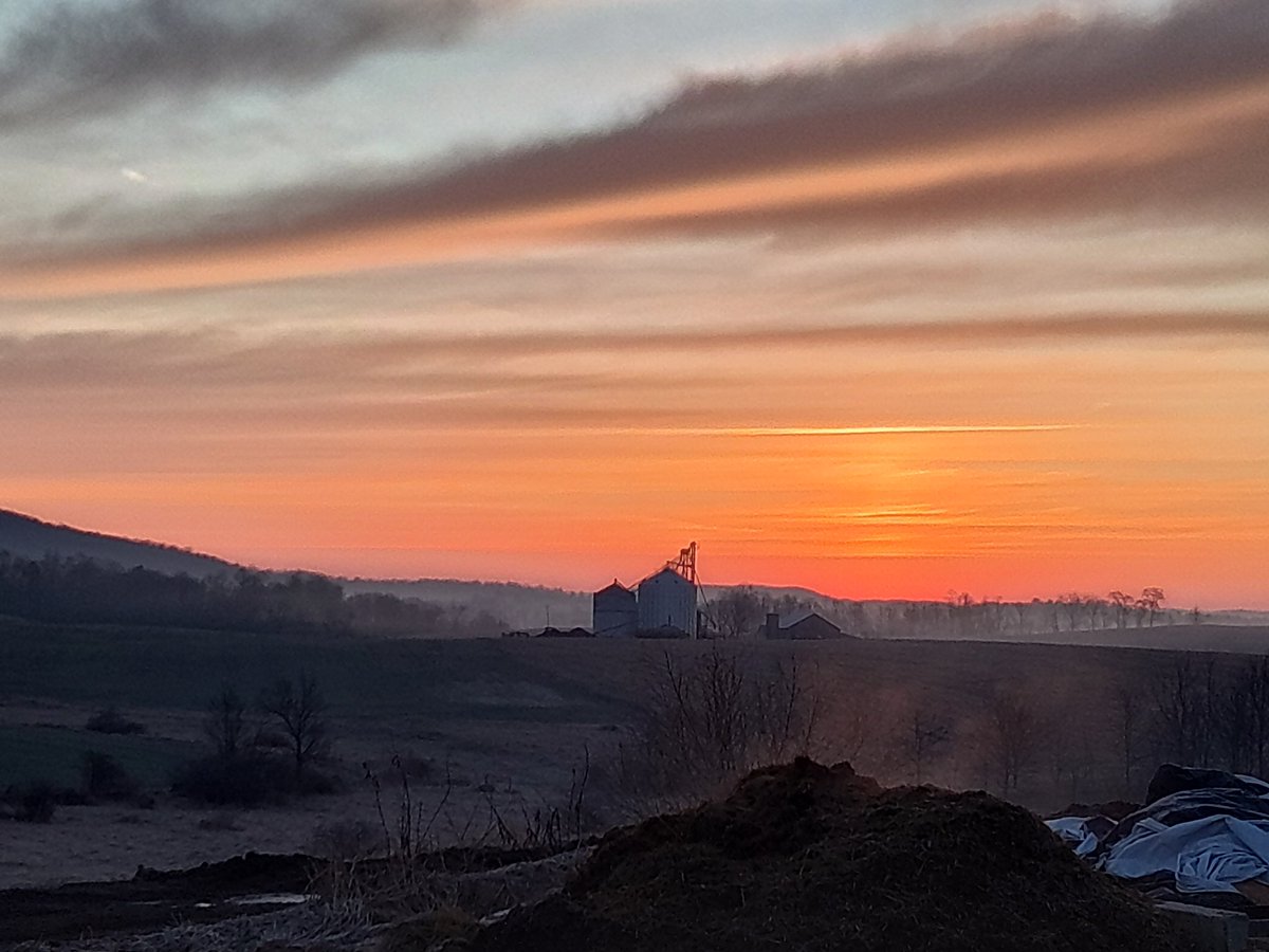 George Shook tweet media