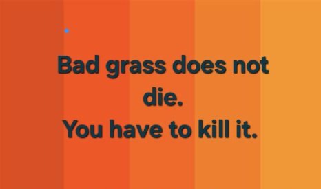 SKIP MIDTERMS. Why bother? tweet media