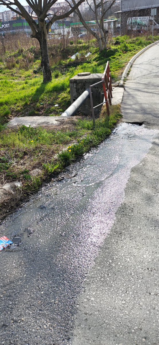 z. marković tweet media