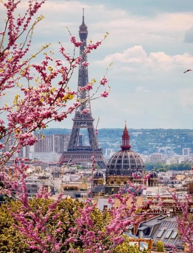 Vacation In Paris 🗼 tweet media