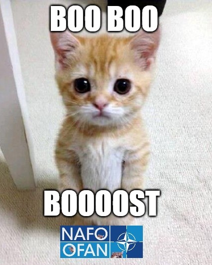 agnieszka reichenbac tweet media